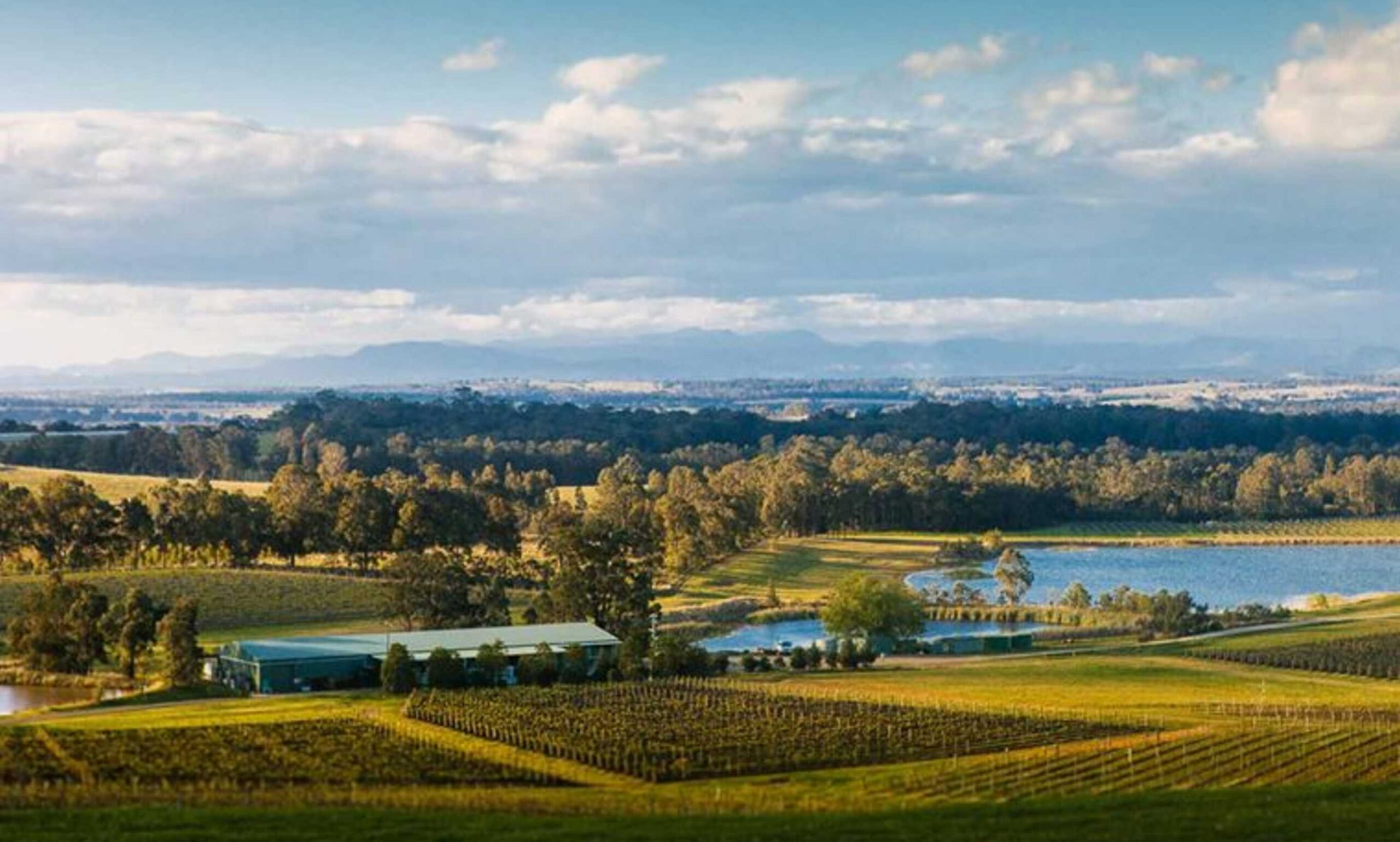 Huntlee Estate - north rothbury huntlee hunter valley